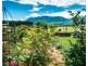 1605 Waterfall Way, Bellingen NSW 2454