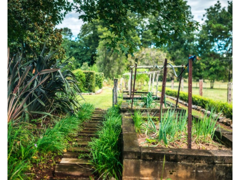 1605 Waterfall Way, Bellingen NSW 2454