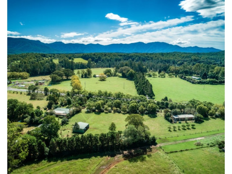 1605 Waterfall Way, Bellingen NSW 2454