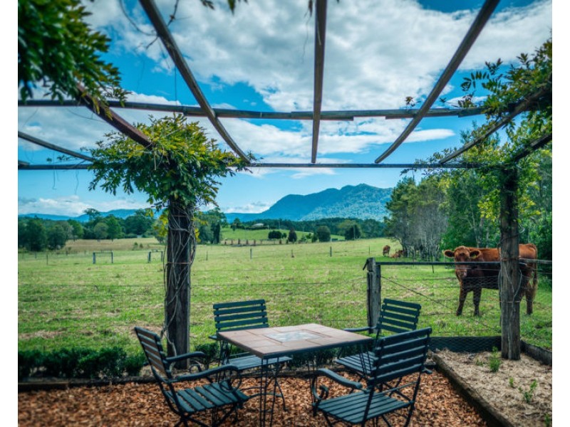 1605 Waterfall Way, Bellingen NSW 2454