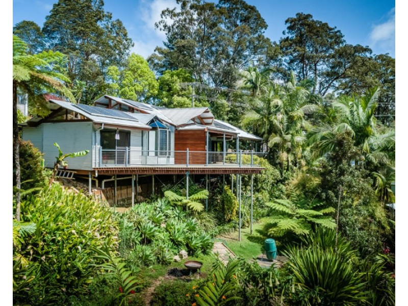 24a Hill Street, Bellingen NSW 2454