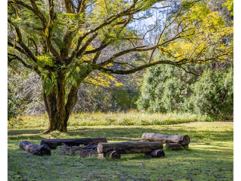 606 Darkwood Road, Bellingen NSW 2454