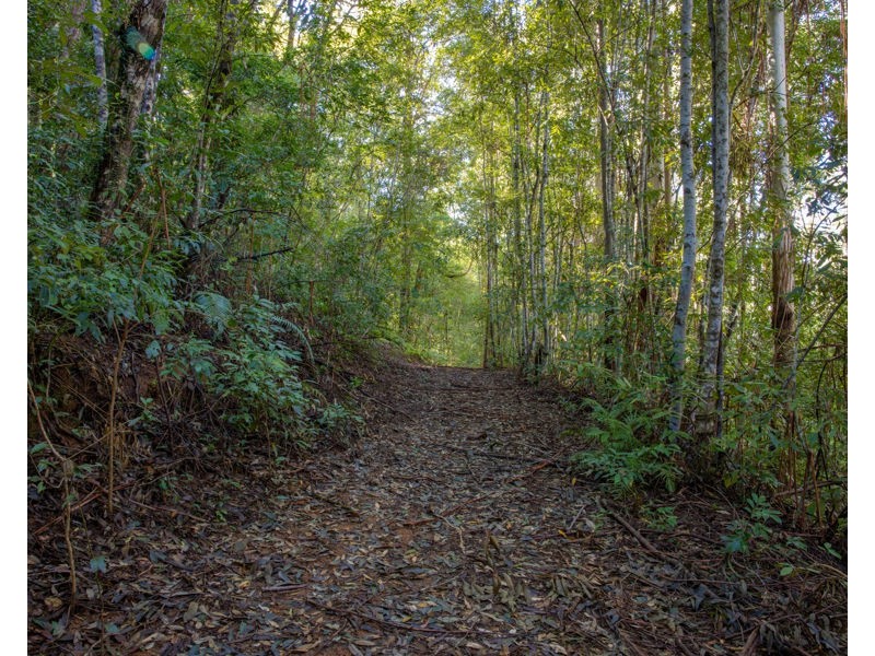 606 Darkwood Road, Bellingen NSW 2454