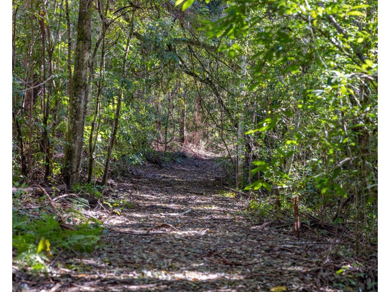 606 Darkwood Road, Bellingen NSW 2454
