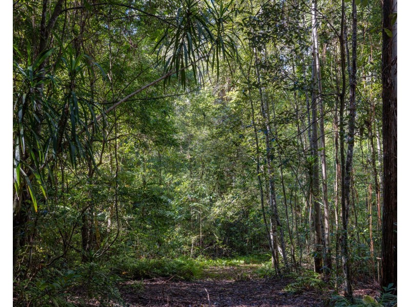 606 Darkwood Road, Bellingen NSW 2454