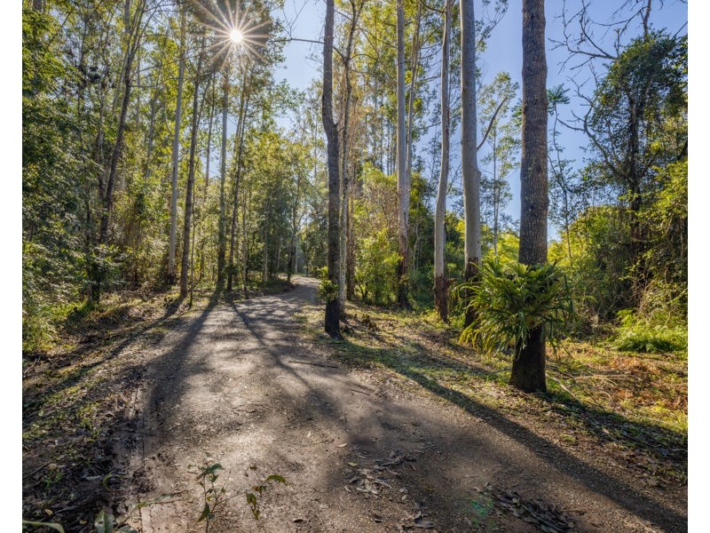 606 Darkwood Road, Bellingen NSW 2454