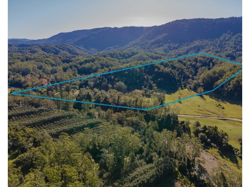 538 Darkwood Road, Bellingen NSW 2454