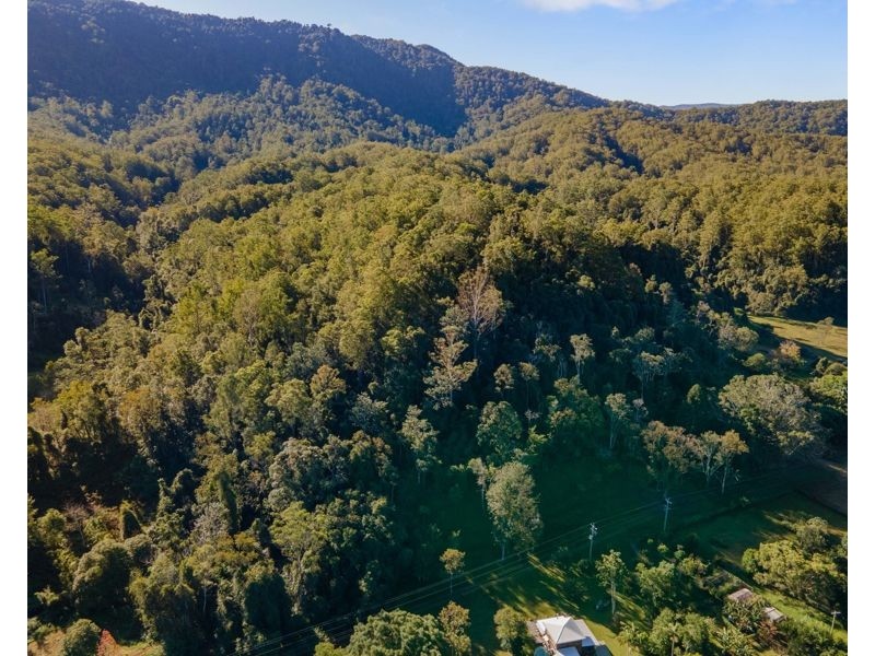 538 Darkwood Road, Bellingen NSW 2454