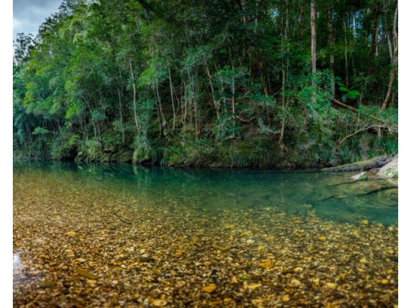 1770 Kalang Road, Bellingen NSW 2454