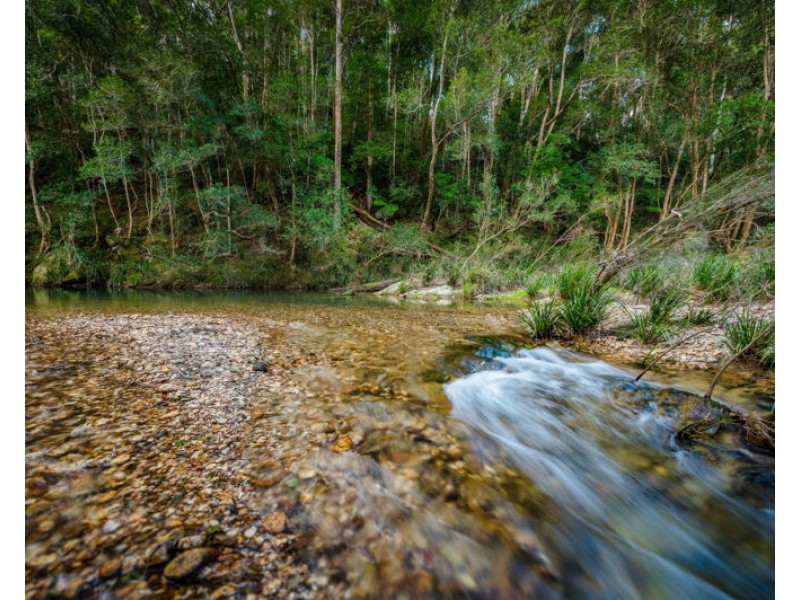 1770 Kalang Road, Bellingen NSW 2454
