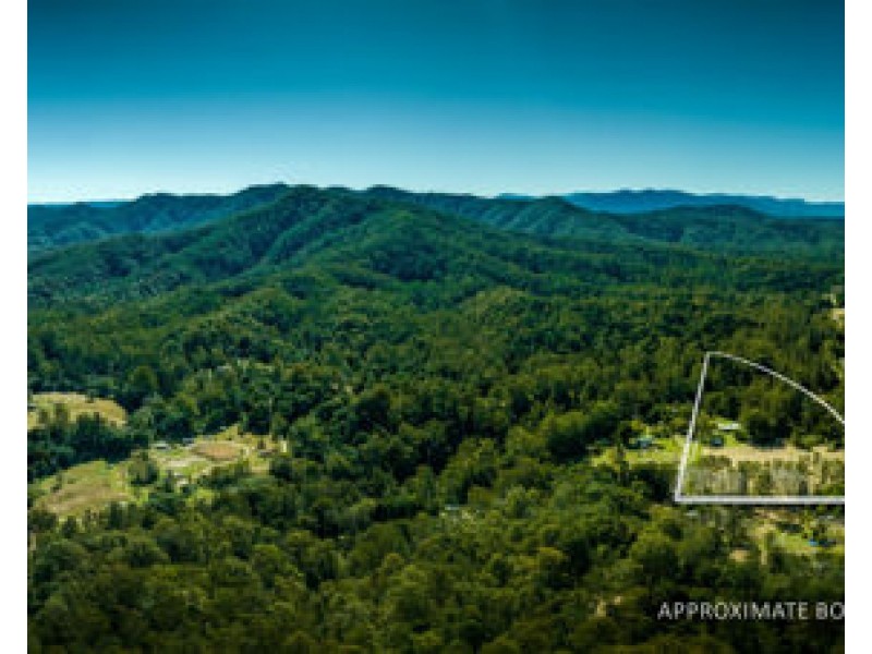1770 Kalang Road, Bellingen NSW 2454