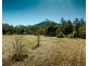 1770 Kalang Road, Bellingen NSW 2454