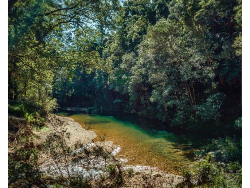 1770 Kalang Road, Bellingen NSW 2454