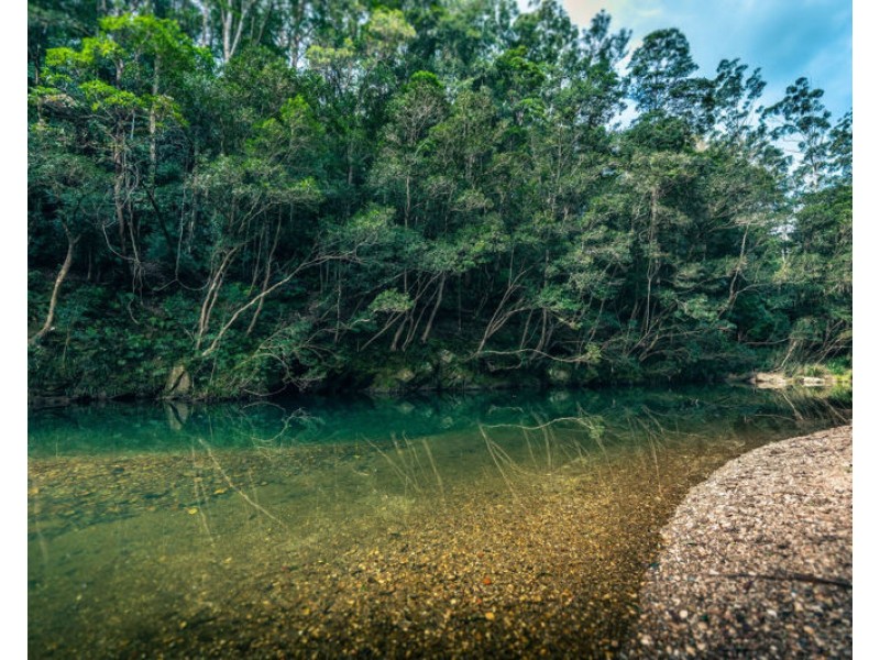 1770 Kalang Road, Bellingen NSW 2454