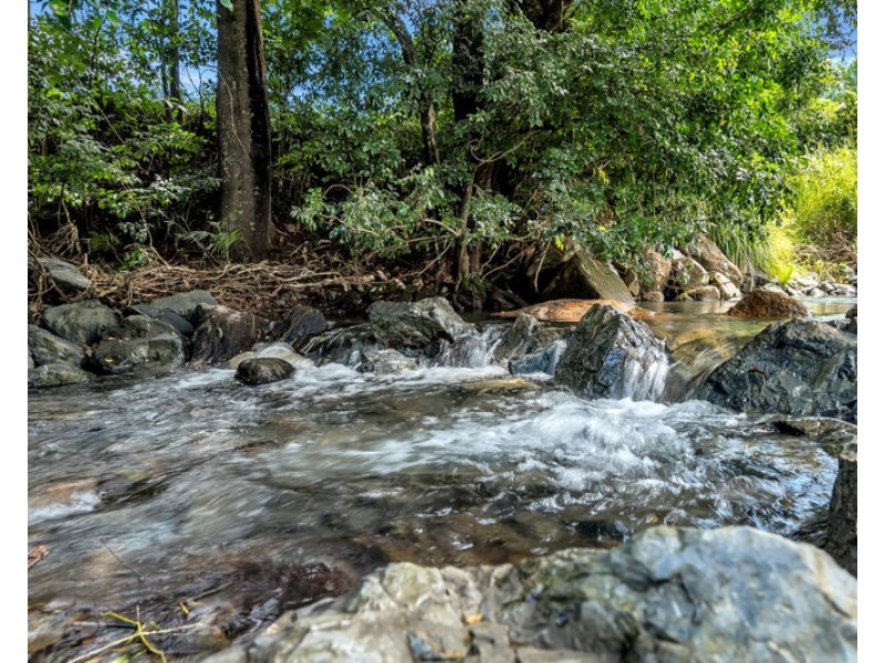 457 Summervilles Road, Bellingen NSW 2454