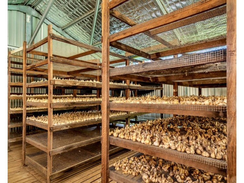 457 Summervilles Road, Bellingen NSW 2454