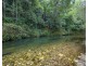 2525 Kalang Road, Bellingen NSW 2454