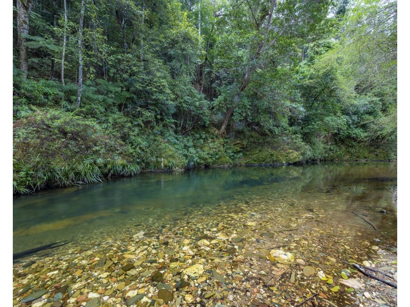 2525 Kalang Road, Bellingen NSW 2454
