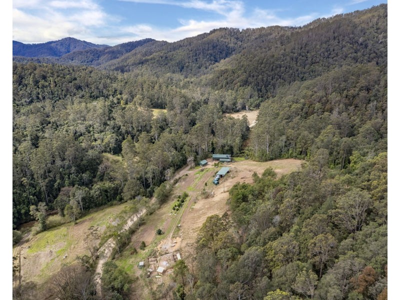 2525 Kalang Road, Bellingen NSW 2454