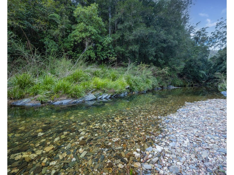 2525 Kalang Road, Bellingen NSW 2454