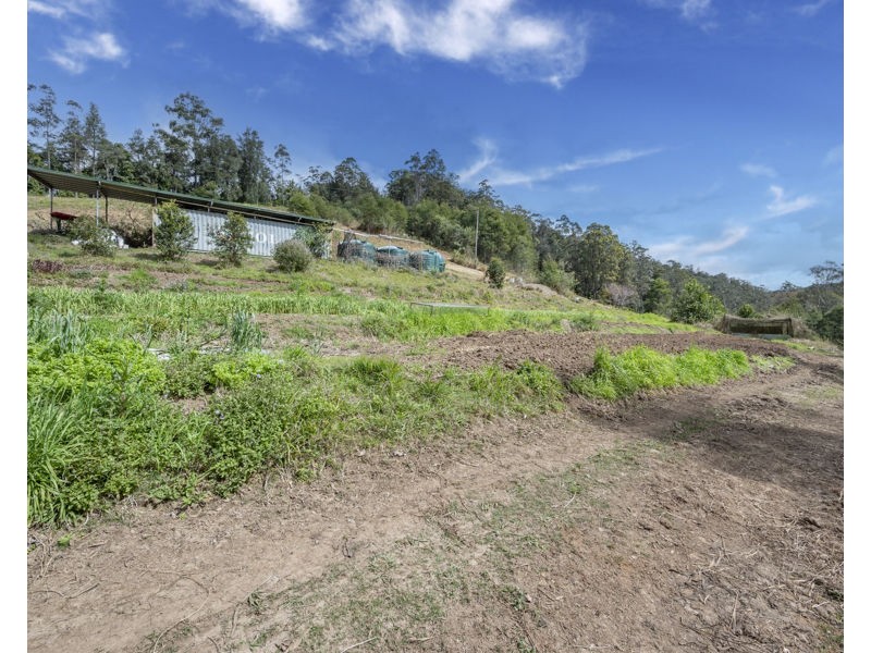 2525 Kalang Road, Bellingen NSW 2454
