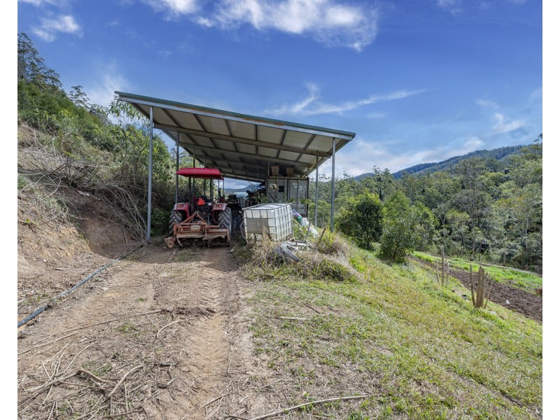 2525 Kalang Road, Bellingen NSW 2454