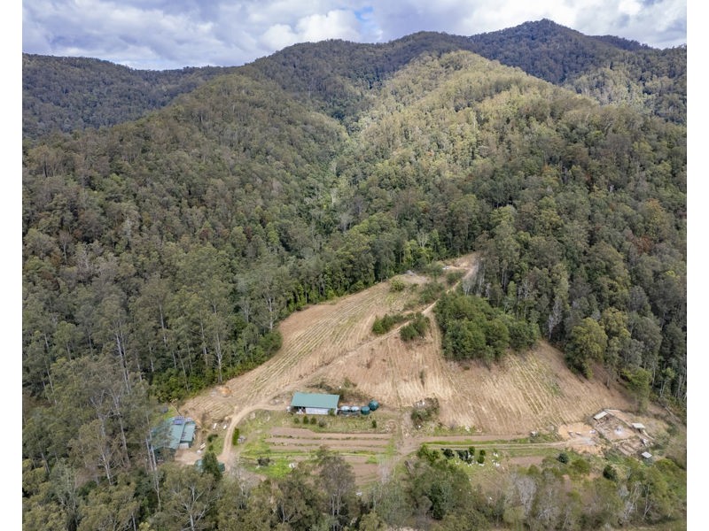 2525 Kalang Road, Bellingen NSW 2454