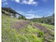 2525 Kalang Road, Bellingen NSW 2454