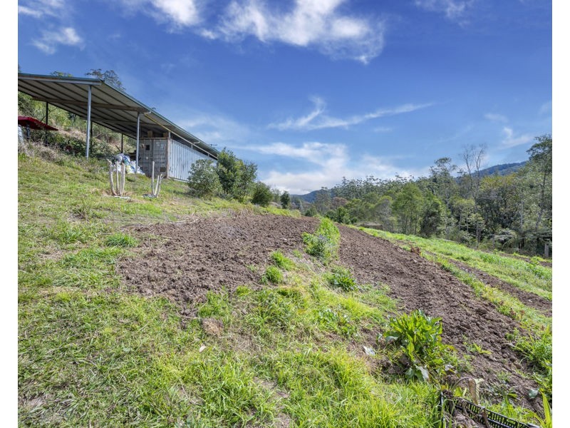 2525 Kalang Road, Bellingen NSW 2454