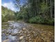 2525 Kalang Road, Bellingen NSW 2454