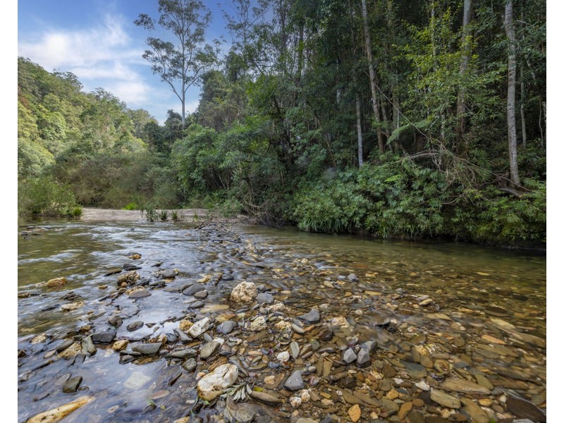 2525 Kalang Road, Bellingen NSW 2454