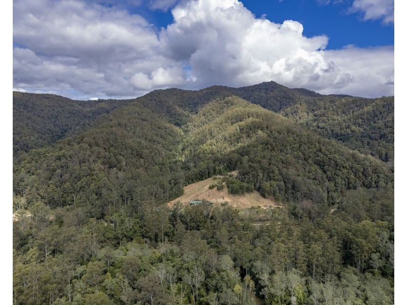 2525 Kalang Road, Bellingen NSW 2454