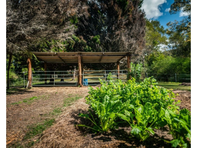 2300 Kalang Road, Bellingen NSW 2454
