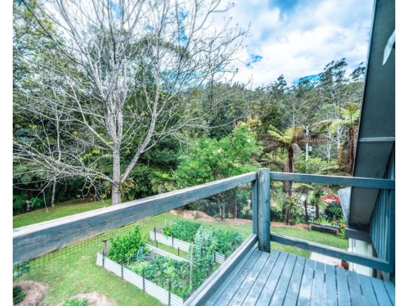 2300 Kalang Road, Bellingen NSW 2454