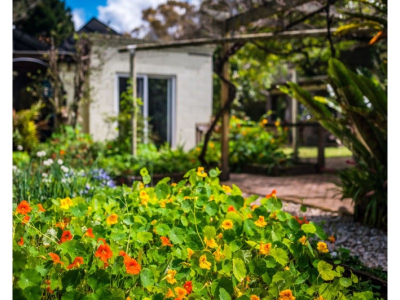 2300 Kalang Road, Bellingen NSW 2454