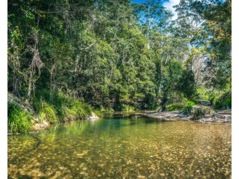 2300 Kalang Road, Bellingen NSW 2454