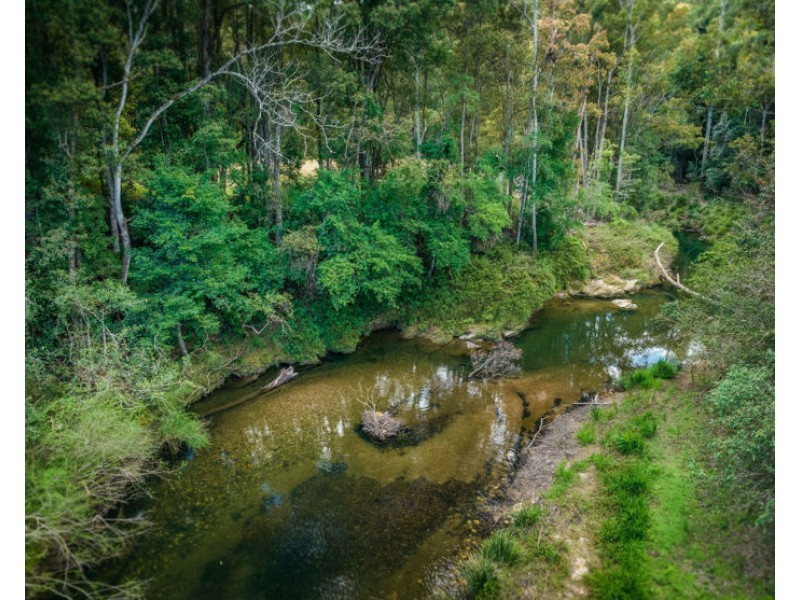 2300 Kalang Road, Bellingen NSW 2454