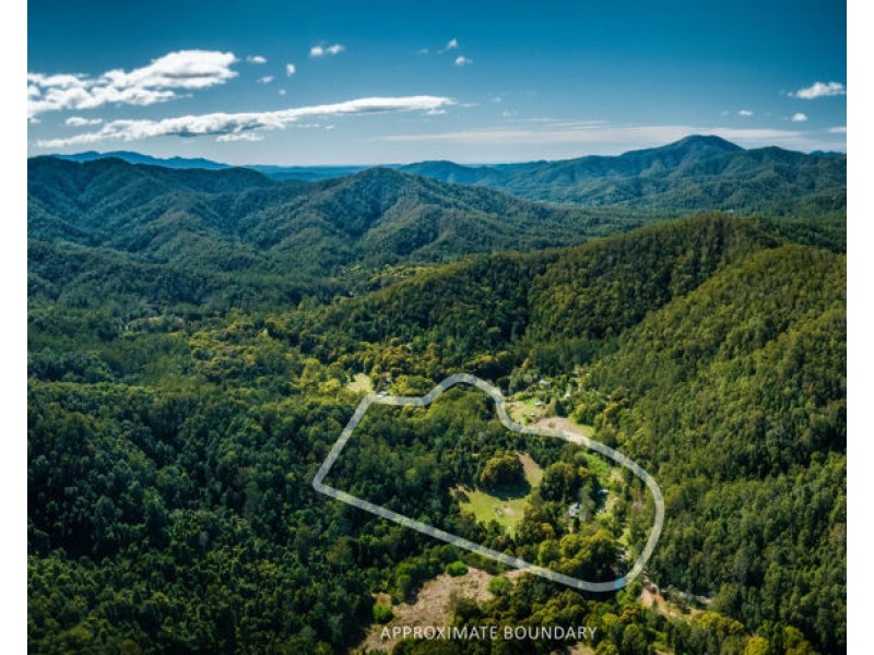 2300 Kalang Road, Bellingen NSW 2454
