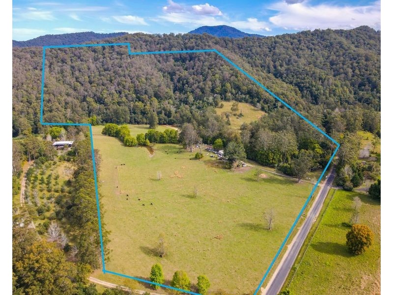 527 Kalang Rd, Bellingen NSW 2454