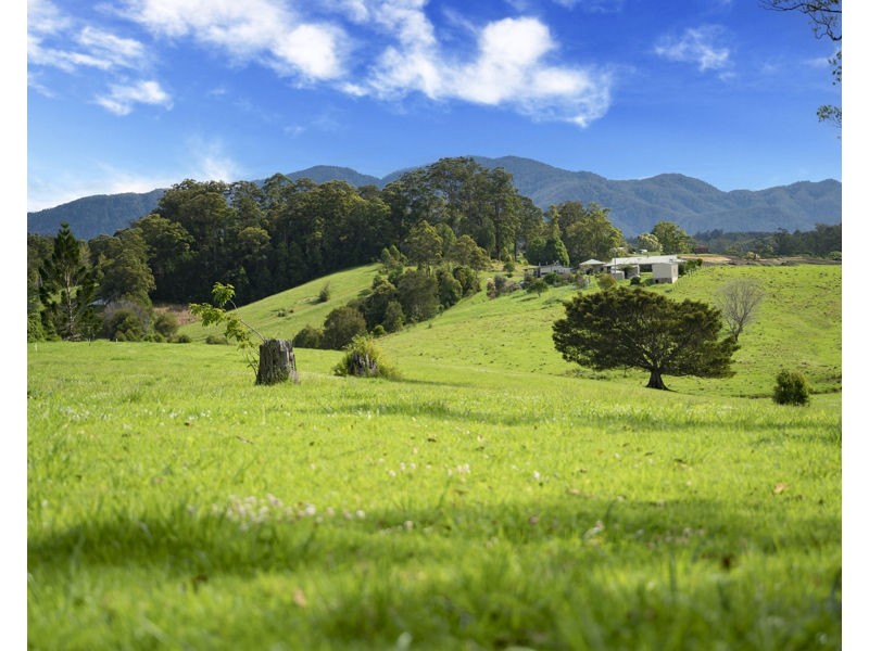 105 North Bank Road, Bellingen NSW 2454