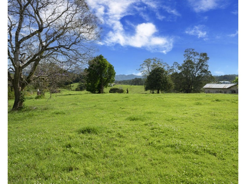 105 North Bank Road, Bellingen NSW 2454