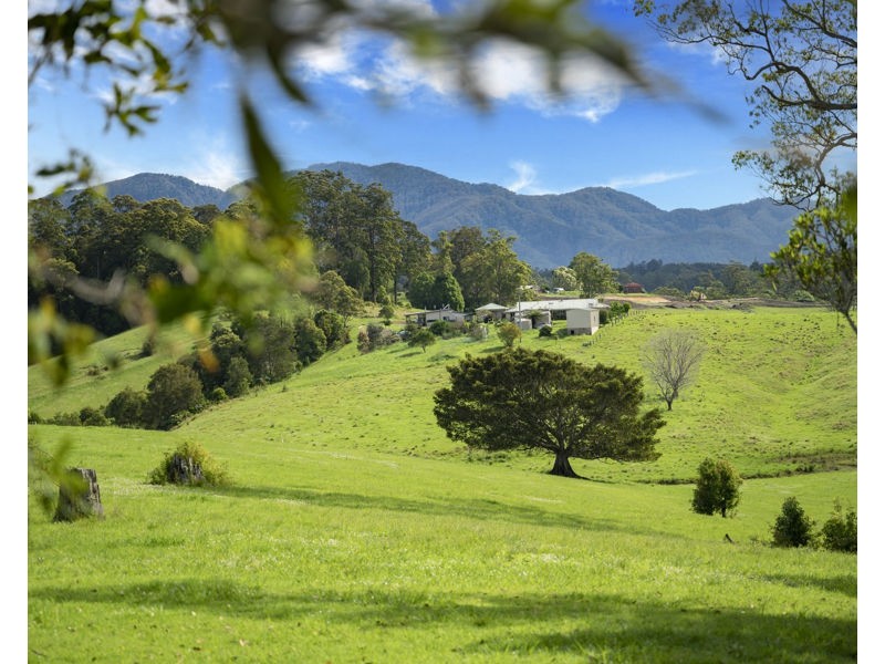 105 North Bank Road, Bellingen NSW 2454