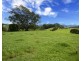 105 North Bank Road, Bellingen NSW 2454