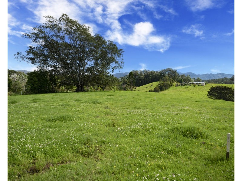 105 North Bank Road, Bellingen NSW 2454
