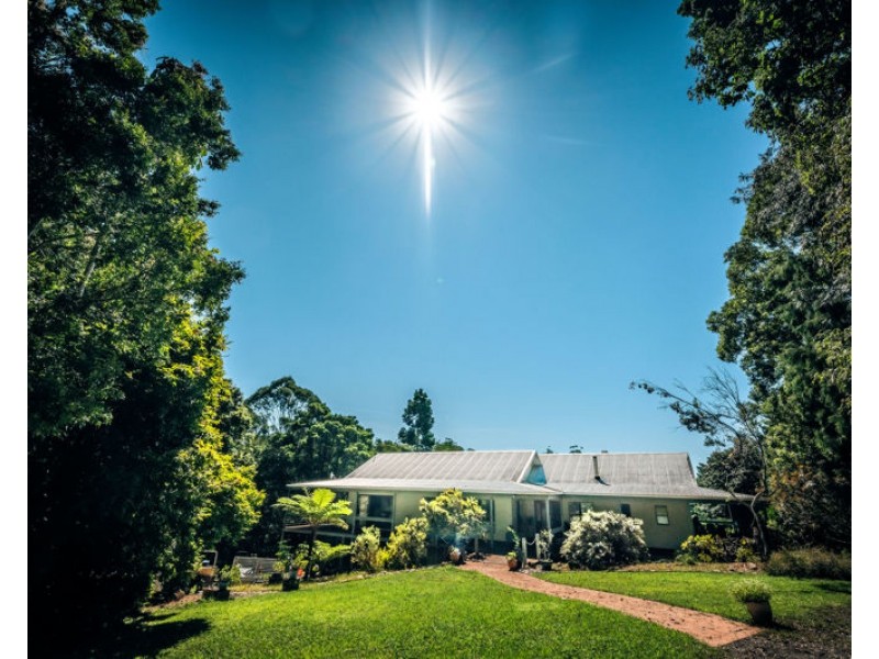 161 Mount Street, Bellingen NSW 2454