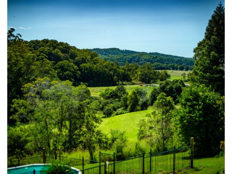 161 Mount Street, Bellingen NSW 2454