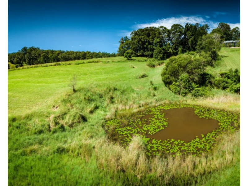 161 Mount Street, Bellingen NSW 2454