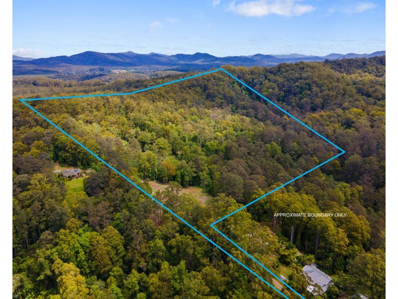 Bellingen NSW 2454