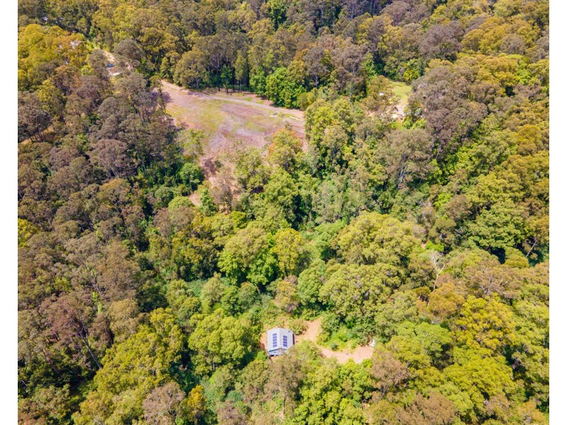 Bellingen NSW 2454