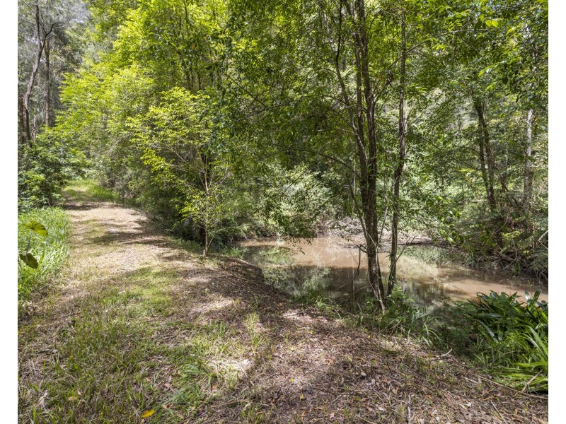Bellingen NSW 2454